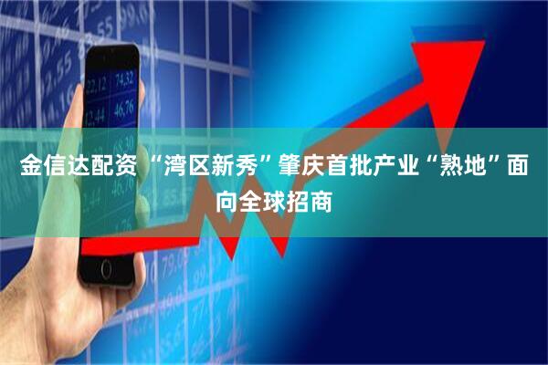 金信达配资 “湾区新秀”肇庆首批产业“熟地”面向全球招商