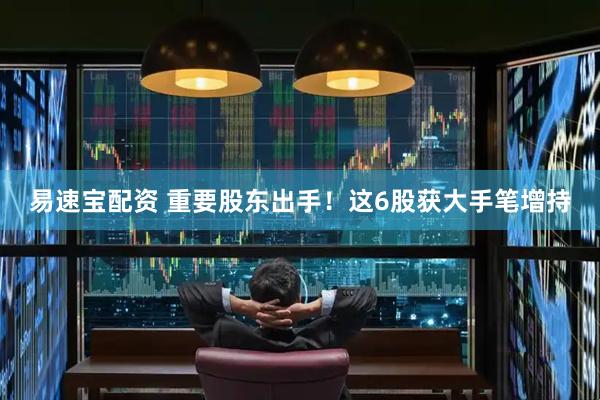 易速宝配资 重要股东出手！这6股获大手笔增持