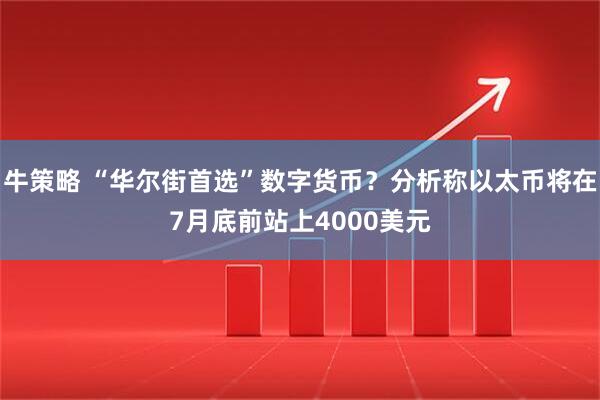 牛策略 “华尔街首选”数字货币？分析称以太币将在7月底前站上4000美元