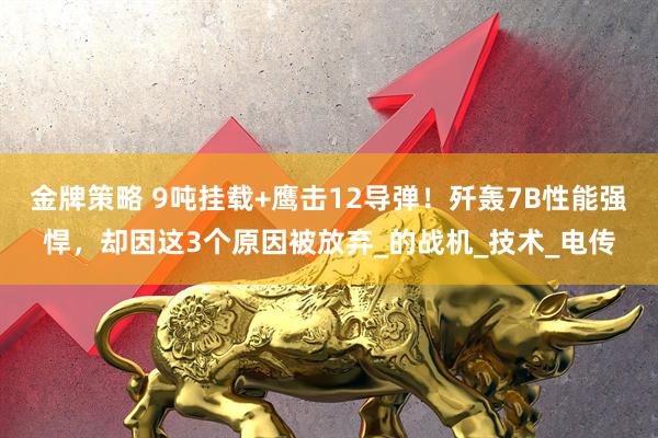 金牌策略 9吨挂载+鹰击12导弹！歼轰7B性能强悍，却因这3个原因被放弃_的战机_技术_电传